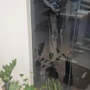 마두사랑약국 이미지