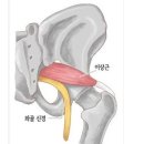 김연옥에스테틱청담 이미지
