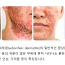 한성약국 이미지