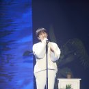 MD포유 마이데일리