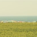 보리창고 이미지