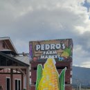 Pedro's Farm Market 이미지
