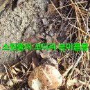 윈풀 이미지