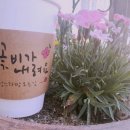 커피캘리 이미지