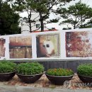 영월-20