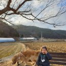 디.605살롱