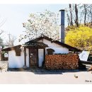 목련나무집 이미지