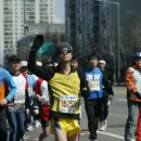 개폼난다 이미지