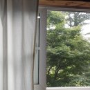 통나무파크 이미지