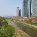 제주미래공인중개사사무소 네이버블로그