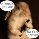 [에듀콘] 29일차 - Take a breath..