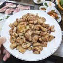 원조고향막창 이미지