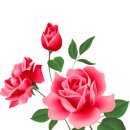 영화주제가집 제1호 SIDE-B 이미지