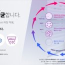 엣지크린 이미지