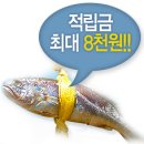 영광직판굴비 네이버블로그