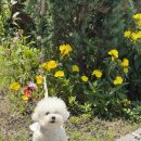 부천시립합창단 1234 콘서트 오르간과 합창음악 | #부천아트센터 오르간 공연