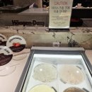 (주)즐거운세상인터불고호텔 | 대구맛집 호텔 인터불고 뷔페 주말디너 이용후기, 10월-11월 이용가격