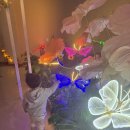 여주박물관 | 여주 곤충박물관 후기 ✔ 아이랑 실내 가볼만한 곳 💖풍뎅이 입양 체험까지 (+방문 꿀팁)