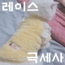 송이패션 | 파스텔펫 반려동물 레이스 극세사 티셔츠. 고양이 겨울옷 후기. 우리 요미의 극세사 패션 공개.