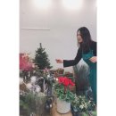 블룸슈타인 이미지