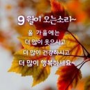 🍒 9월 2일 월요일 간추린 아침뉴스입니다 이미지