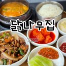 안동 해장국 | 닭나무집: 닭불백 닭해장국! 안동 경북 도청 맛집 내돈내산 솔직후기