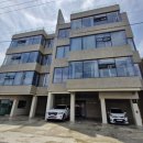 올라아미고 펜션 이미지