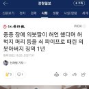 중증 장애 의붓딸이 허언 했다며 허벅지 머리 등을 쇠 파이프로 때린 의붓아버지 징역 1년 이미지