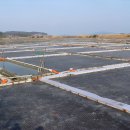 솔향기길 나오리공방 이미지