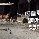 단심이동물농장 이미지