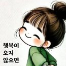 일박이일 Daum카페