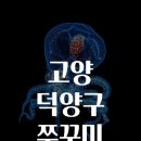 고양쭈꾸미 이미지