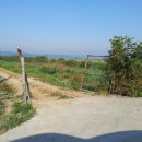 신동지낚시터 이미지