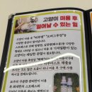 냥블링 이미지