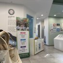 김소아청소년과의원 이미지