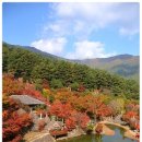 삼성궁 이미지