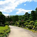 강풍경 파크 이미지