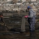 산골밥상 이미지