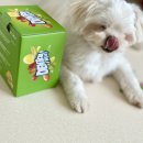 (주)레이지독 이미지