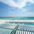 롯데하이마트(주) 압구정점 이미지