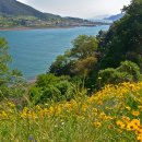 하도 해변 이미지