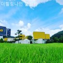 더힐링나인아이엘 | 휴가철 전남 풀빌라펜션 후기, 더힐링나인 풀빌라 / 분위기좋고 가격적당한 곳