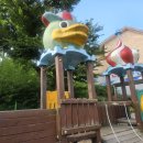 의성남부초등학교 병설유치원 | 경북 김천시 00초등학교 병설유치원 조합놀이대 지붕 및 판넬 세척 작업후기