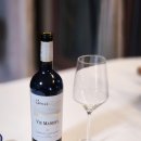 빈야드10(vineyard10) | 가성비 레드와인 추천! Viu Manent Single Vineyard La Capilla Cabernet Sauvignon 2020(뷰 마넨 라...