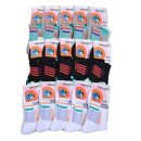 태영스포츠 이미지