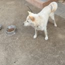 성곽민박 이미지