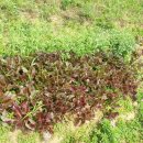 해오름농장 이미지