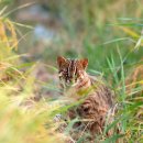 LPG충전소 앞 이미지