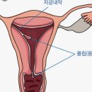 미소담의원