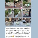 소심유치원 | 소심한 강아지 유치원 적응 후기(댕댕이의하루 유치원)